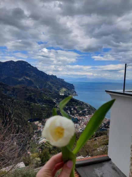 Appartamento Il sogno di Wagner Ravello Esterno foto